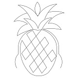 pineapple border 001